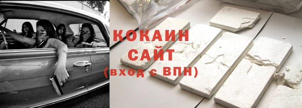 стаф Аркадак