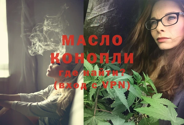 стаф Аркадак