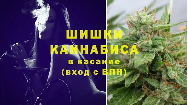 стаф Аркадак
