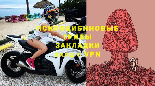стаф Аркадак