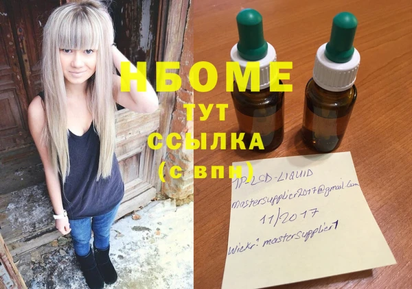 стаф Аркадак