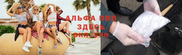 стаф Аркадак